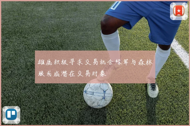 雄鹿积极寻求交易机会绿军与森林狼或成潜在交易对象