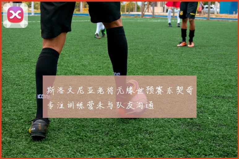 斯洛文尼亚老将无缘世预赛东契奇专注训练营未与队友沟通